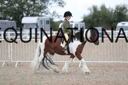 TOM-1738