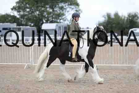 TOM-1739