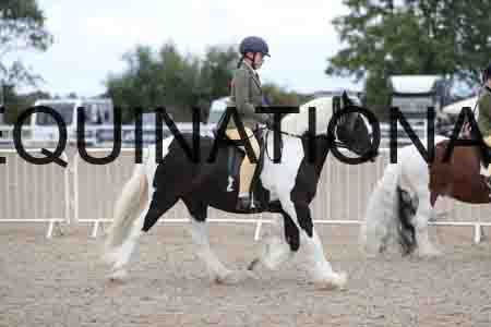 TOM-1740
