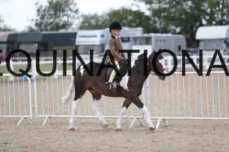 TOM-1741