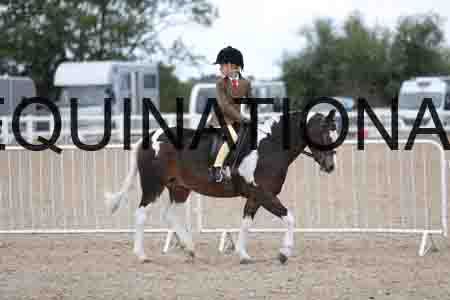 TOM-1743