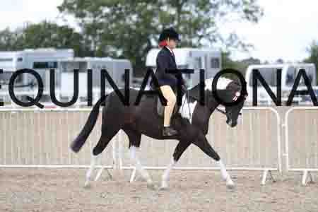 TOM-1744