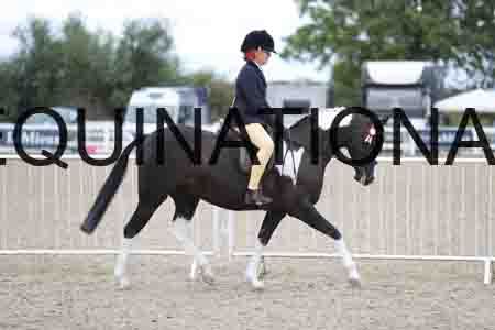 TOM-1746