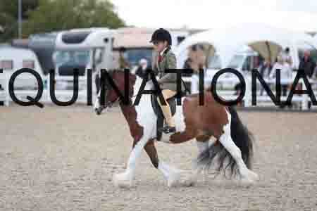 TOM-1747