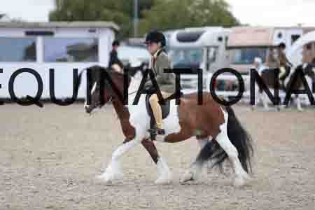 TOM-1748