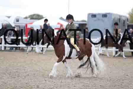 TOM-1750