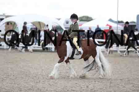 TOM-1751