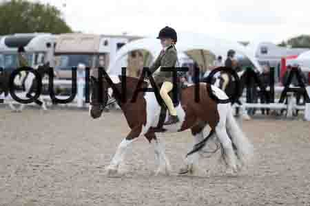 TOM-1752