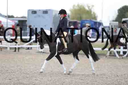 TOM-1753