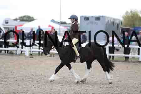 TOM-1756