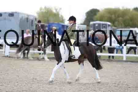 TOM-1759