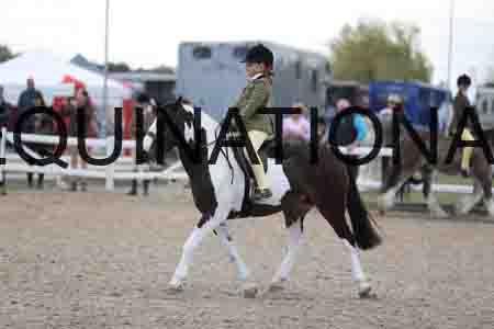 TOM-1760