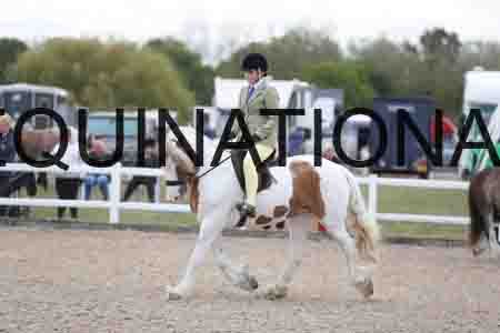 TOM-1761