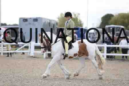 TOM-1762