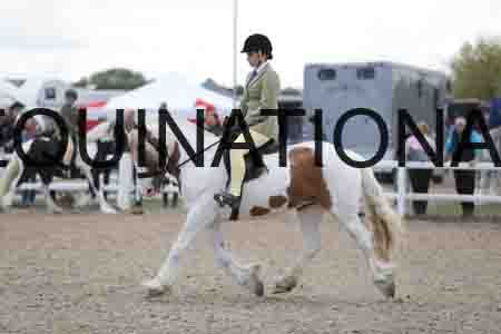 TOM-1763