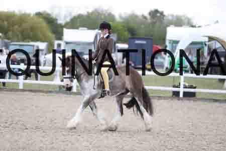 TOM-1764