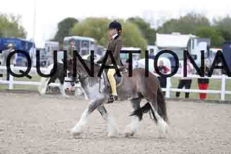 TOM-1765