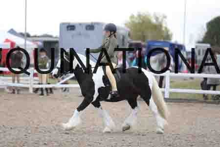TOM-1766