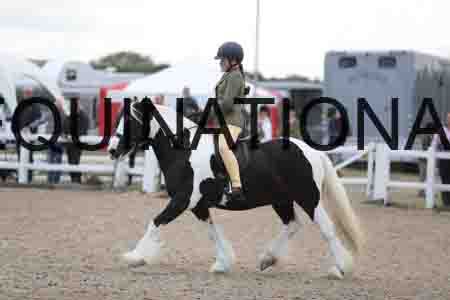 TOM-1767