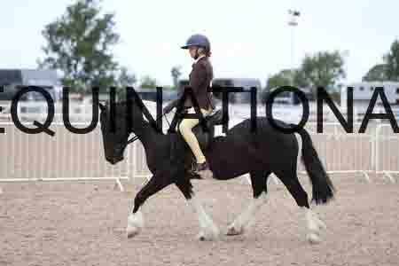 TOM-1769