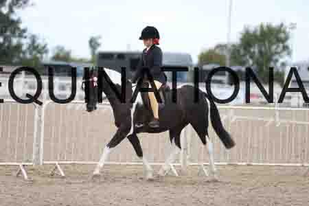 TOM-1770