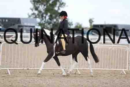 TOM-1771