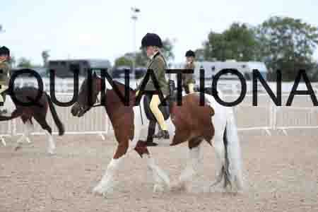 TOM-1772