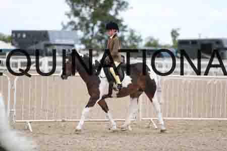TOM-1773