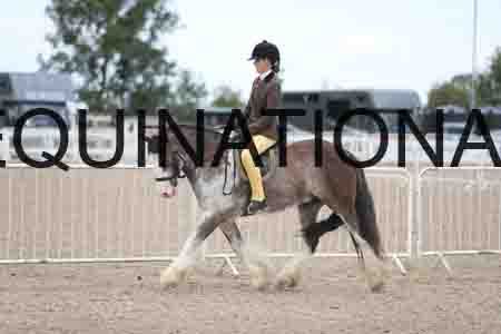 TOM-1774