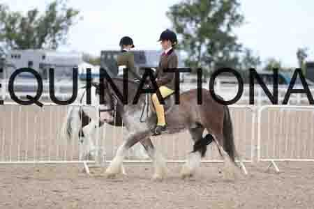 TOM-1775
