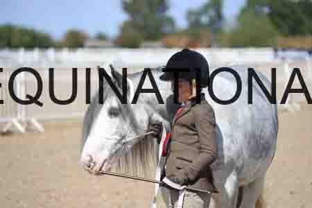 TOM-1780
