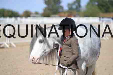 TOM-1781