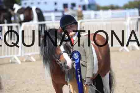 TOM-1783