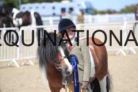 TOM-1784