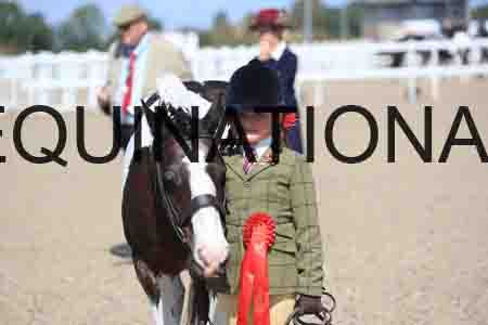 TOM-1785