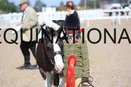 TOM-1786