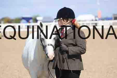 TOM-1788