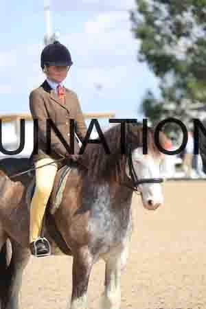 TOM-1790
