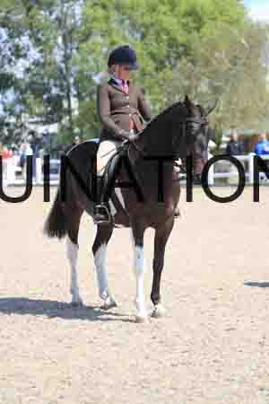 TOM-1791