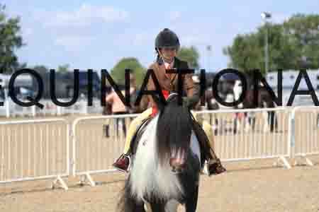 TOM-1793