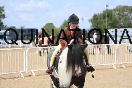 TOM-1794