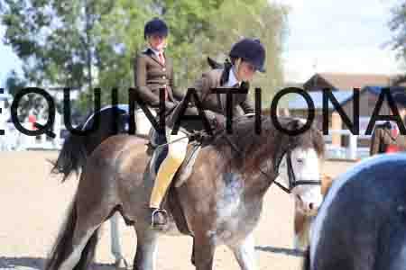 TOM-1796