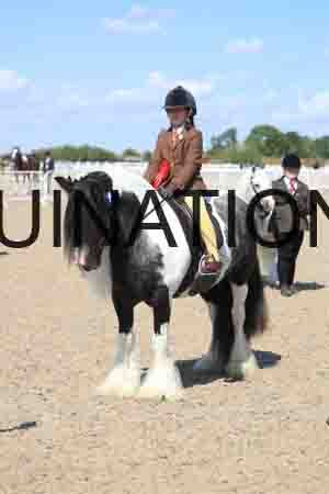 TOM-1797
