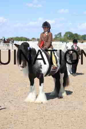 TOM-1798
