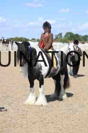 TOM-1799