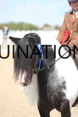TOM-1803