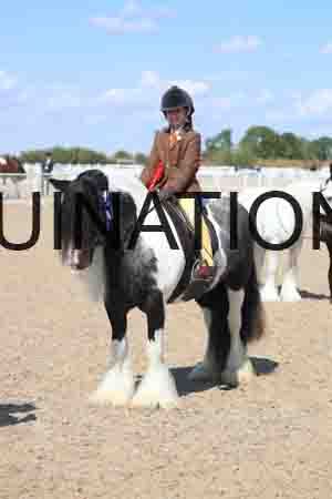 TOM-1804