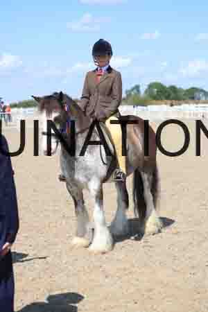 TOM-1805