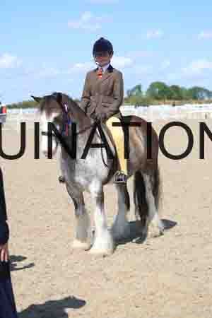 TOM-1806