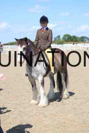 TOM-1807